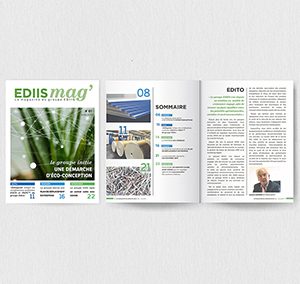 Ediis Mag
